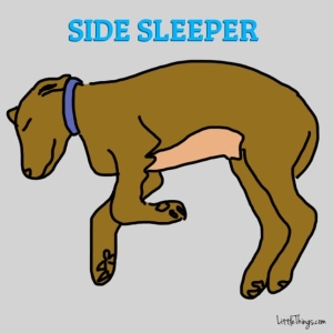 Side Sleeper