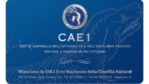 CAE-1 Enci
