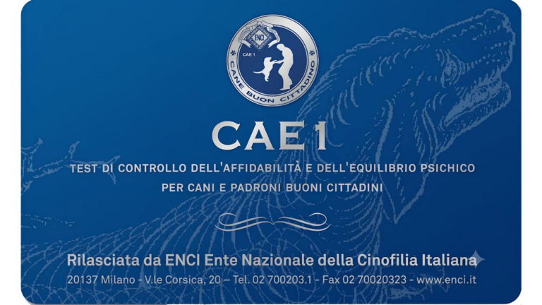 CAE-1 Enci