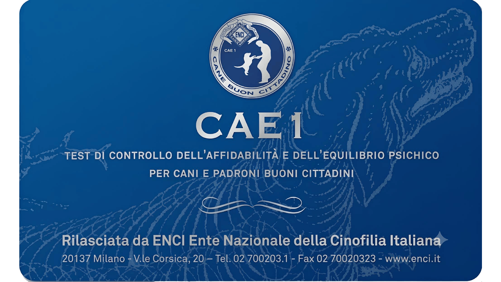 CAE-1 Enci