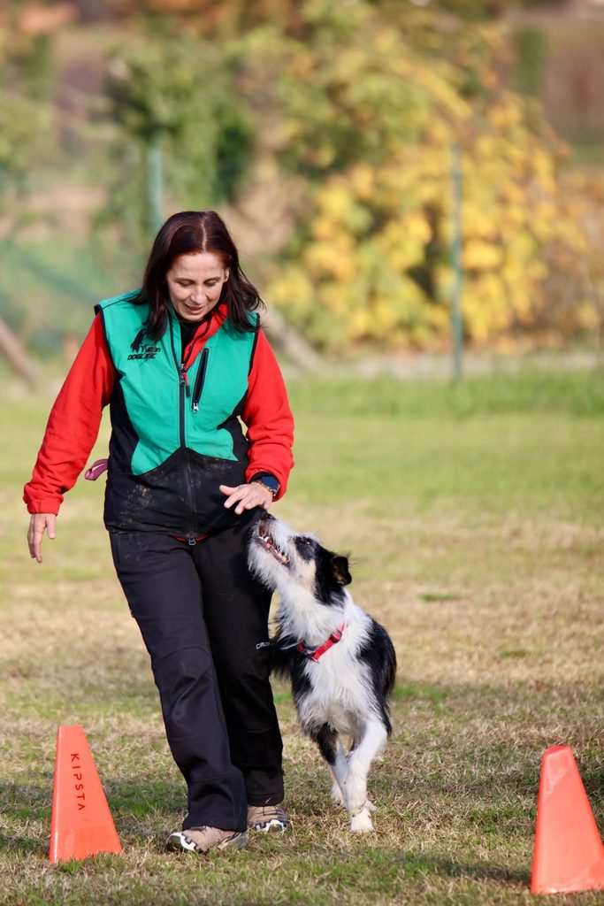 rally obedience